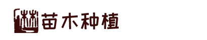 币游·国际(中国区)官方网站